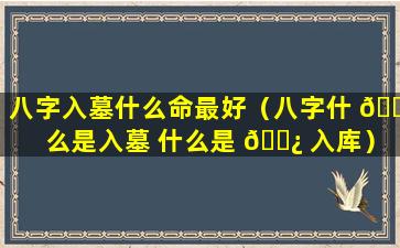 八字入墓什么命最好（八字什 🐼 么是入墓 什么是 🌿 入库）